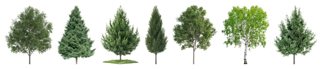 Obraz premium PNG Various lush green trees, element set on transparent background