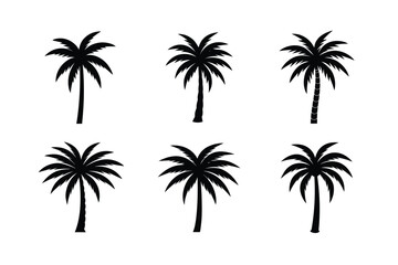 Single Palm Tree Graphic