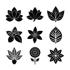 Set of Silhouette Flower, Leaf, and Plant Icons for Creative Design and Branding