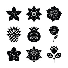 Collection of Elegant Black Silhouette Flower and Fruit Icons Featuring Pomegranate, Pineapple, Blossoms, and Floral Elements in Minimalist Style for Nature and Botanical Illustrations