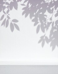 A textured white wall softly illuminated, casting gentle shadows that create an intriguing interplay of light and dark, enhancing its minimalist beauty.