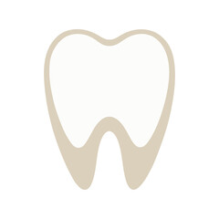 Healthy human molar tooth vector illustration. Clean white dental anatomy icon, oral care concept, medical tooth diagram.

