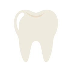 Healthy human molar tooth vector illustration. Clean white dental anatomy icon, oral care concept, medical tooth diagram.

