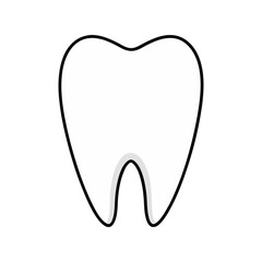 Healthy human molar tooth vector illustration. Clean white dental anatomy icon, oral care concept, medical tooth diagram.

