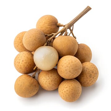 Exotic Longan Fruit Bunch Freshly Harvested and Displayed on White Background