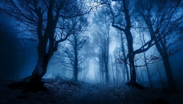 forest at night dark fantasy halloween background