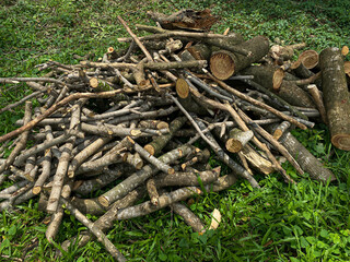 Pile of wood cuts or twigs on top of green grass