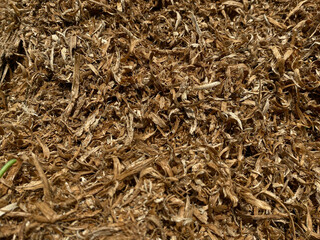 Wood shavings full background, leftover after logging