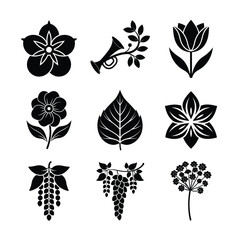 Collection of Black Silhouette Floral and Leaf Icons Featuring Flowers, Tulips, Leaves, and Wisteria in Minimalist Style for Botanical and Nature Illustrations