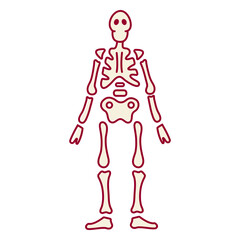 Skeleton color stroke