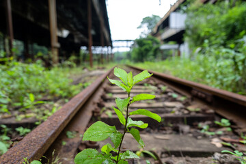 Deserted military base with rusted gates overgrown by nature and remnants of chaos