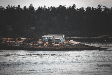 Cloudy and melancholic morning on the ferry to Vancouver. A moody seascape with calm waters, misty...