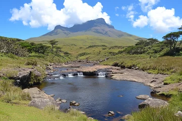 Papier peint photo  Serene river flows gently through lush landscape with mountain backdrop under clear blue sky  © pavlofox