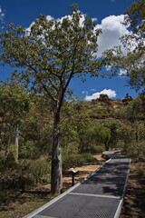 Boardwalk on Banan derbde-gerring gooleng theniyinhang walk in Mirima National Park, Kimberley, Western Australia, Australia
