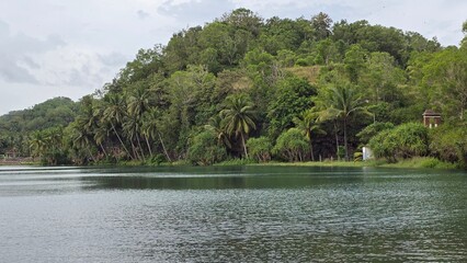 lake and forest