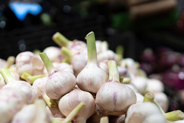 Fresh Garlic Bulbs in Market Stall