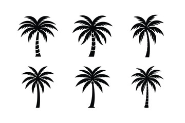 Palm Tree Black Vector