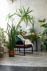 A fragment of the interior with a variety of indoor plants and plaster sculptures. Urban jungle concept. Biophilia design.