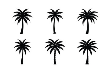 Palm Tree Line Art Design