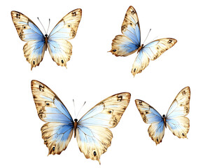 set of butterflies isolated on white