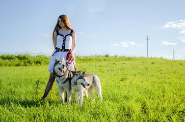 Young woman with red hair stands in sunny meadow holding two huskies. Wearing white dress, she...