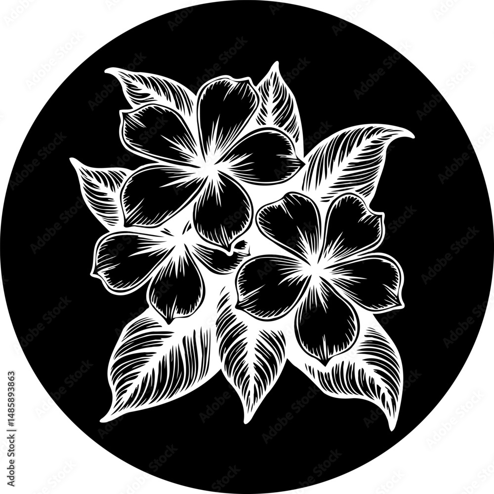 Poster elegant floral design with intricate lines, isolated on a black circular shape