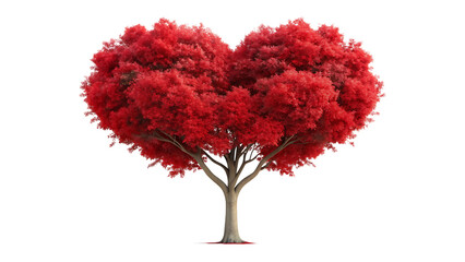 Beautiful red heart shaped tree against a dark black background for romance and love
