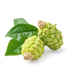 Fototapeta premium Fresh green exotic fruits with leaves. Two small, light green fruits with bumpy textured skin and vibrant green leaves