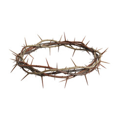 Crown of Thorns Symbolizing Sacrifice, Suffering, and Christian Faith