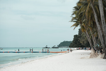 tropical beach with coconut trees