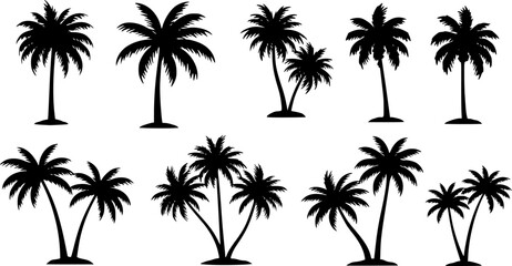 Vector silhouette of palm tree on beach on white background. Symbol of nature and plant.


