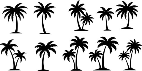 Naklejka premium Vector silhouette of palm tree on beach on white background. Symbol of nature and plant.