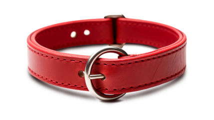 Vibrant red leather collar featuring sleek metal buckle, perfect for adding stylish touch to any outfit. This accessory combines durability with bold aesthetic, making it standout piece