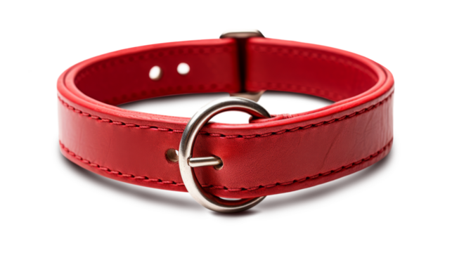 Vibrant red leather collar featuring sleek metal buckle, perfect for adding stylish touch to any outfit. This accessory combines durability with bold aesthetic, making it standout piece