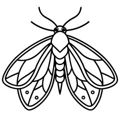 Elegant Glitter Moth Vector Outline