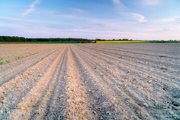 Beautiful Plowed Fields Sunset Gliwice