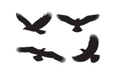 Unleash the Majesty of the Skies, A Captivating Collection of Eagle Silhouettes Vector Set. Flying eagle silhouette vector set on white background for Art and Design Projects.