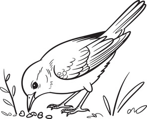 A detailed black and white illustration of a bird pecking at the ground for food