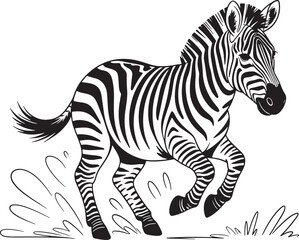 Running zebra black and white illustration