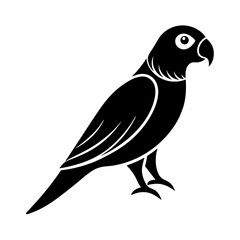 Obraz premium black and white bird