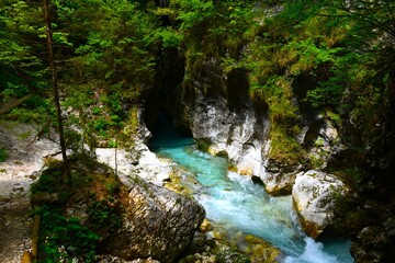 View of Kamniška Bistrica river at Predaselj gorge in Gorenjska, Slovenia