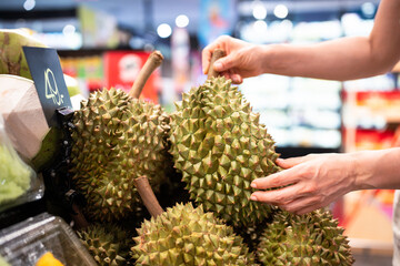 Hand chooses durian on market table in Asia. Fruit lifted for quality check, tropical produce, consumer decision based on firmness, traditional Asian food, healthy natural food in grocery market
