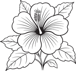 Elegant line art hibiscus flower botanical illustration
