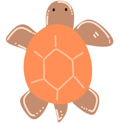 turtle