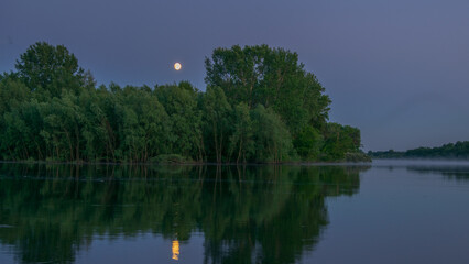 reflection of trees in the lake