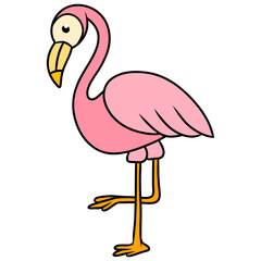 Flamingo Bird Cartoon
