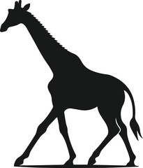 Wild animal giraffe vector isolated silhouette