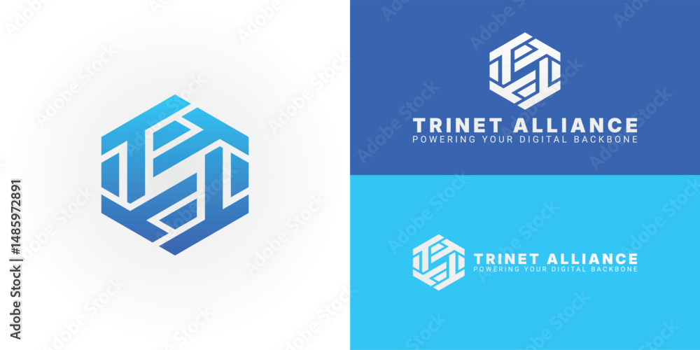 Poster the logo features stylized ta shape in hexagonal design, symbolizing comprehensive network administr