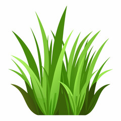 Vibrant Green Grass Blades Illustration Isolated on White