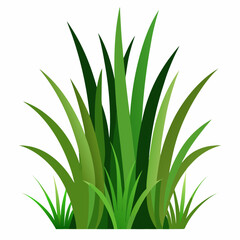 Vibrant Green Grass Blades Illustration for Design